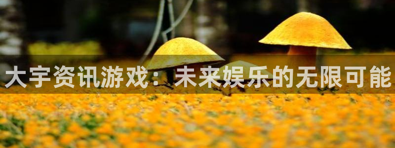 高德娱乐咨询：大宇资讯游戏：未来娱乐的无限可能