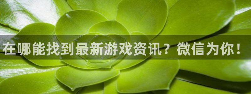高德娱乐4主管：在哪能找到最新游戏资讯？微信为你！