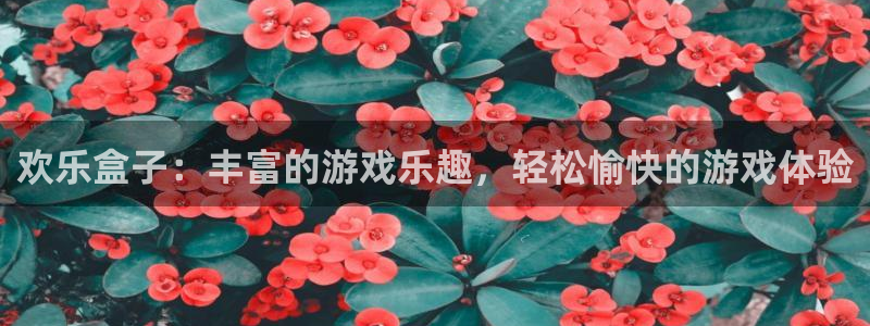 高德娱乐平台注册资金多少：欢乐盒子：丰富的游戏乐趣，轻松愉快