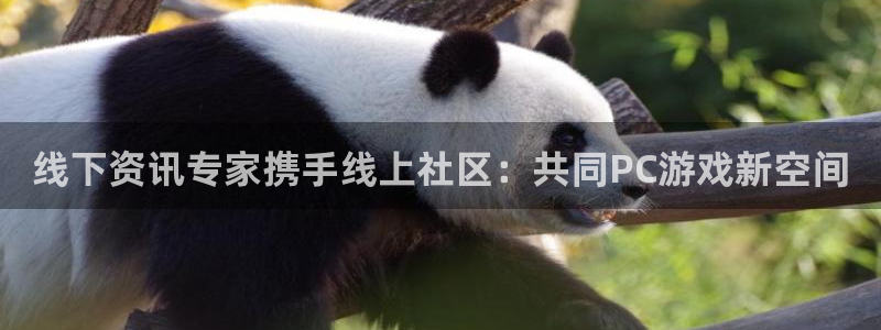 高德娱乐直属：线下资讯专家携手线上社区：共同PC游戏新空间