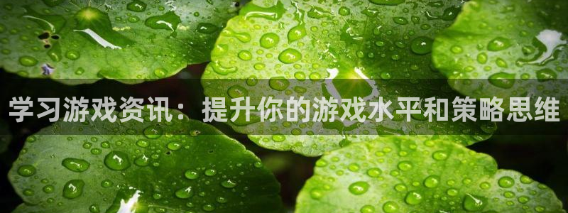 高德娱乐4招商