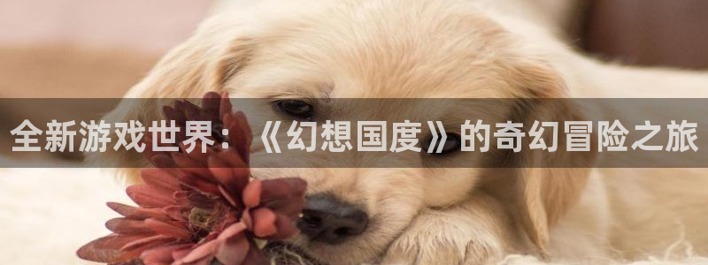 高德娱乐测速：全新游戏世界：《幻想国度》的奇幻冒险之旅