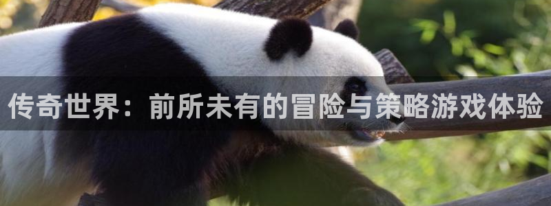 高德娱乐登录：传奇世界：前所未有的冒险与策略游戏体验