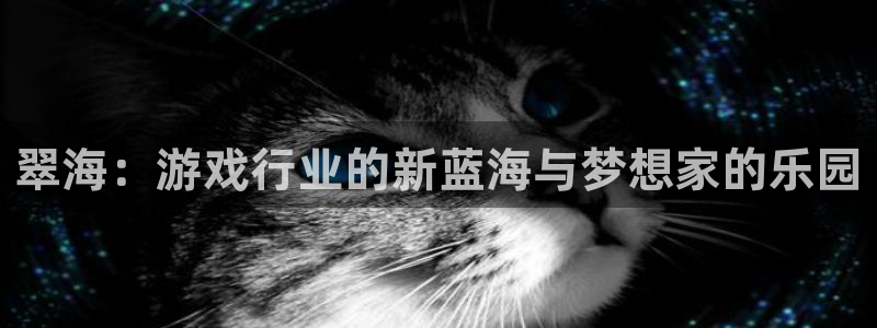 高德娱乐4开户：翠海：游戏行业的新蓝海与梦想家的乐园