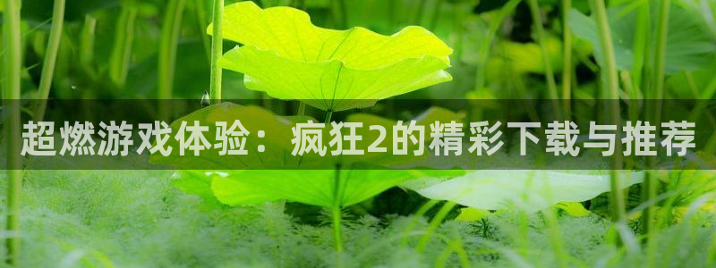 高德娱乐测速登陆：超燃游戏体验：疯狂2的精彩下载与推荐