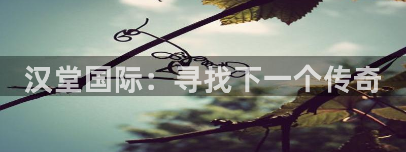 高德娱乐登陆：汉堂国际：寻找下一个传奇