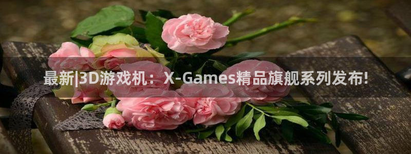 高德娱乐平台：最新|3D游戏机：X-Games精品旗舰系列发